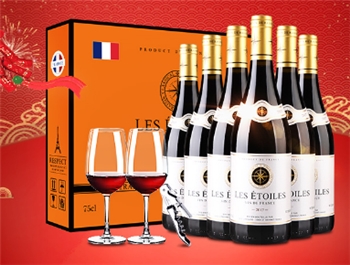 法国原瓶原装进口红酒 